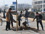 市城投集團公司積極組織參加全市義務植樹活動